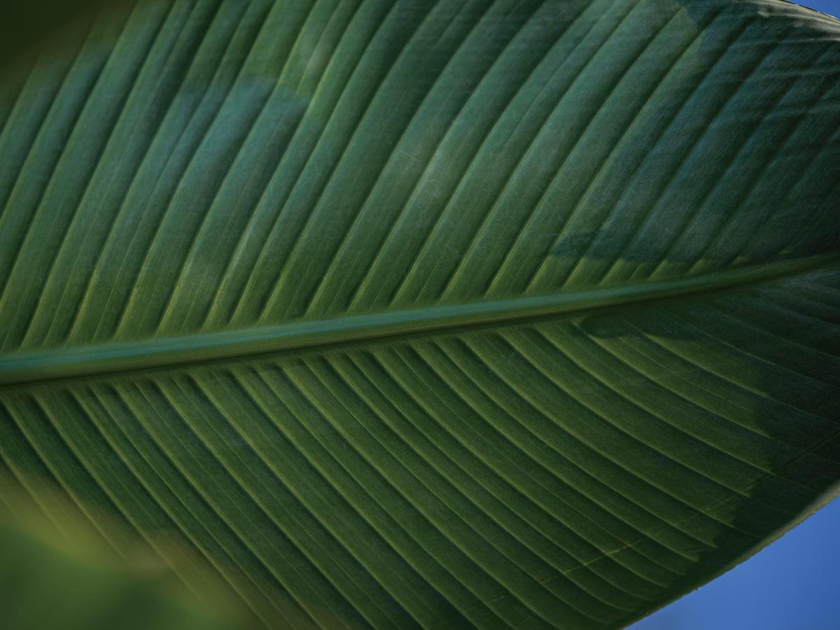 Homm Yumiha Okinawa By Banyan Tree Group Onna